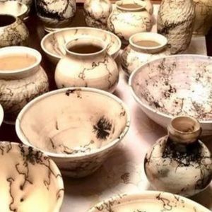 Meet your Posher, Peace horse